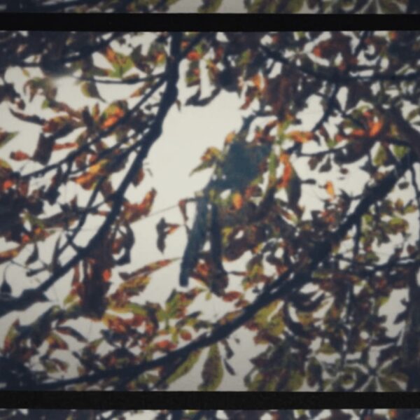 Watch our latest ad, ''Winning''